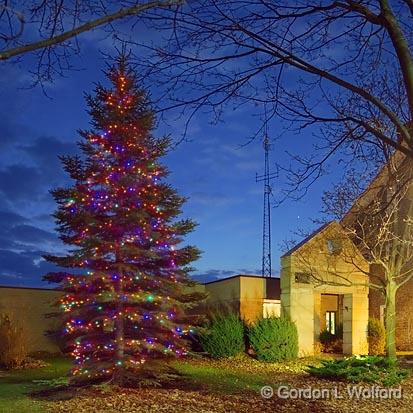 Municipal Christmas Tree_01915-20.jpg - Photographed at Smiths Falls, Ontario, Canada.